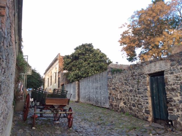 El Patio De Las Glicinas Colonia del Sacramento Buitenkant foto